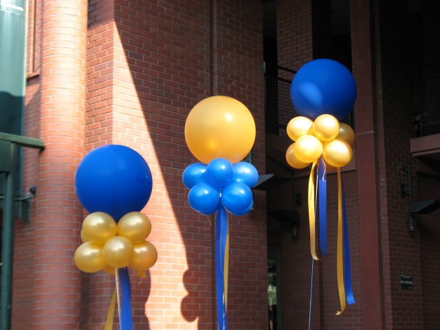 3ft. Balloons, smaller clusters and wide ribbon