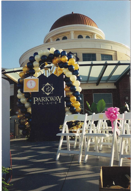 Balloon Arch for Opening
