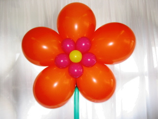 Balloons Flowers